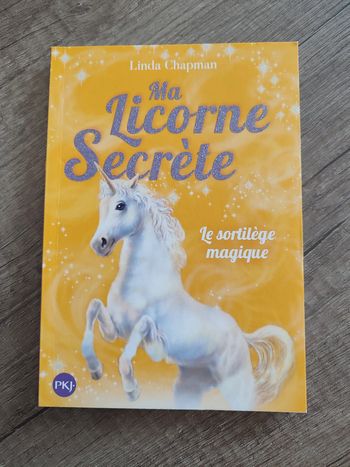 Livre Ma licorne secrète " Le sortilège magique " Volume 1 Linda Chapman