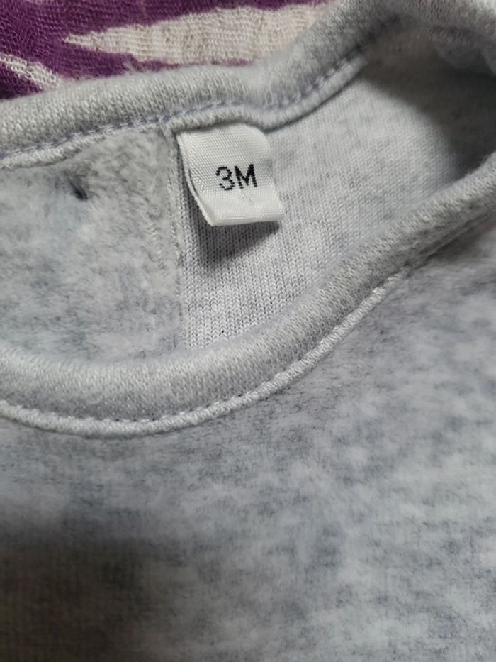 Combi-short - photo numéro 2