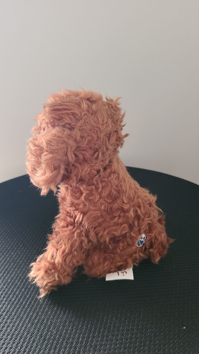Nintendogs - photo numéro 3