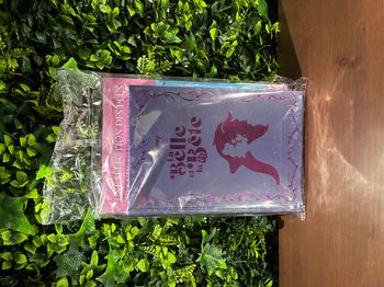 🌹 Livre "La Belle et la Bête" - Collection Hachette Disney (Neuf sous blister)