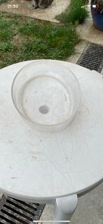 Plat en Pyrex