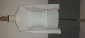Pull Hollister XS