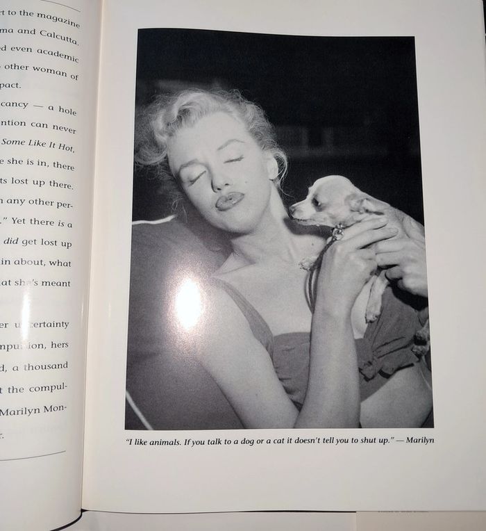 Marilyn Monroe from beginning to end - photo numéro 3