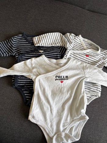 Bodies 