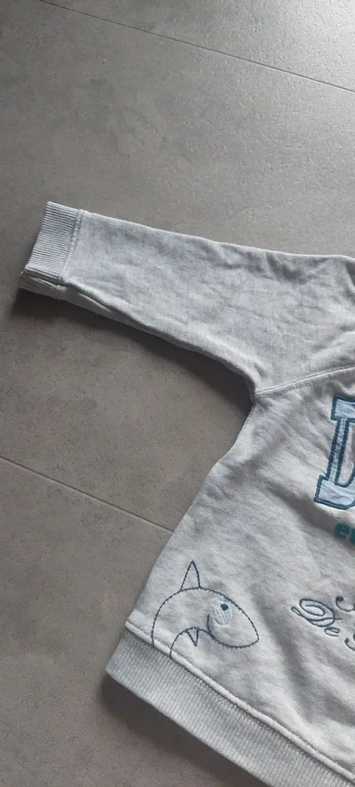 Sweat 12 mois du pareil au même - photo numéro 5