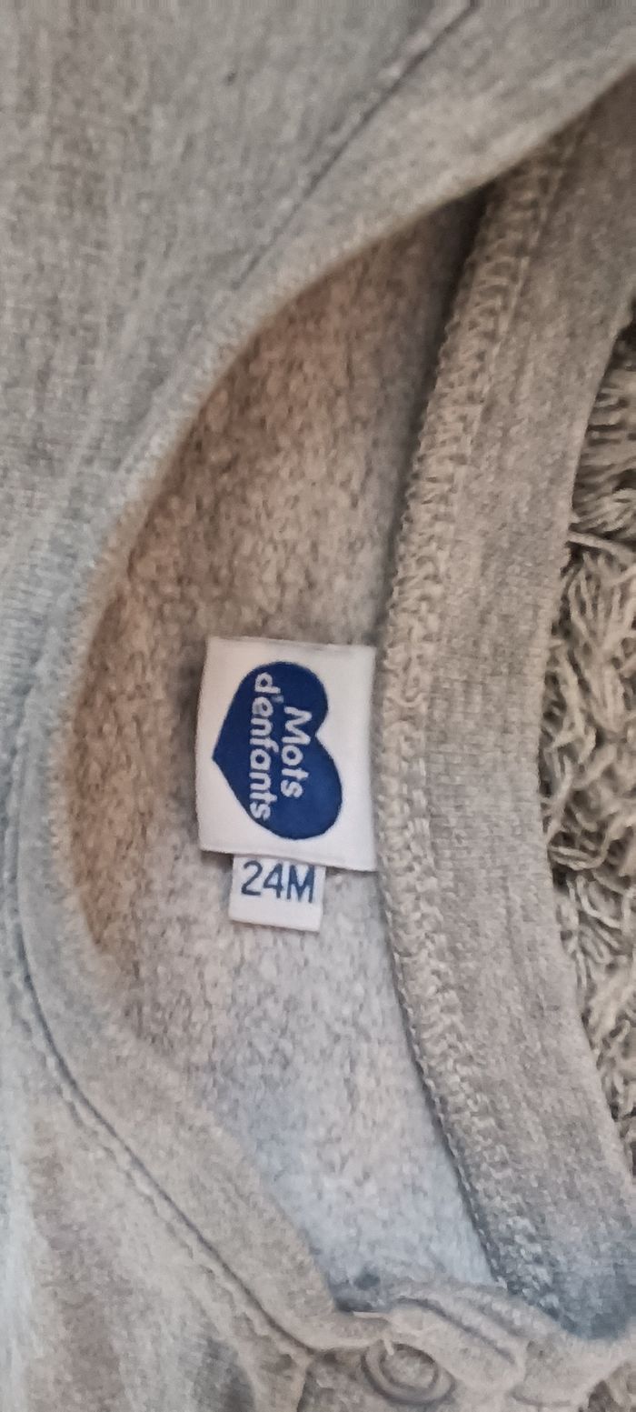 Sweat 24 mois - photo numéro 4