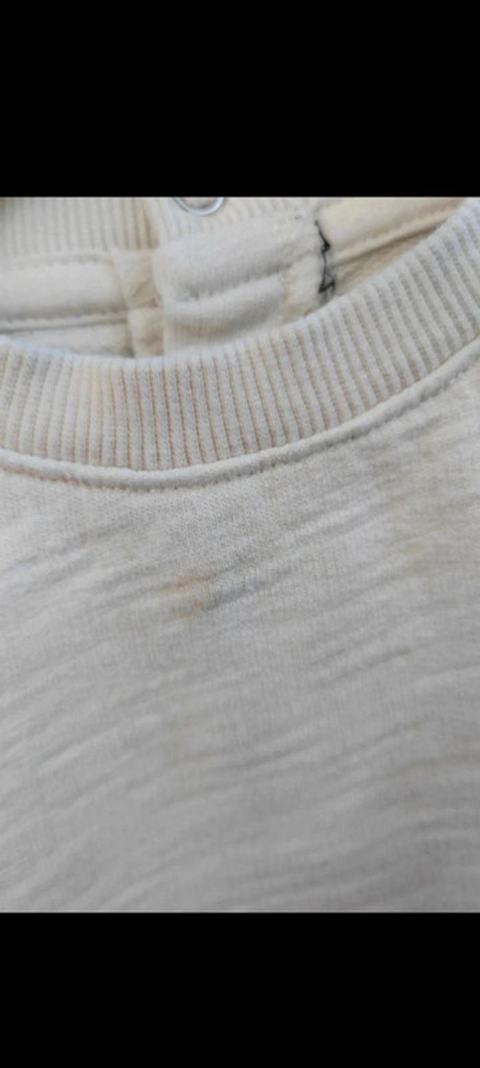 🤍Sweat beige 12 mois Wild Nature - photo numéro 6