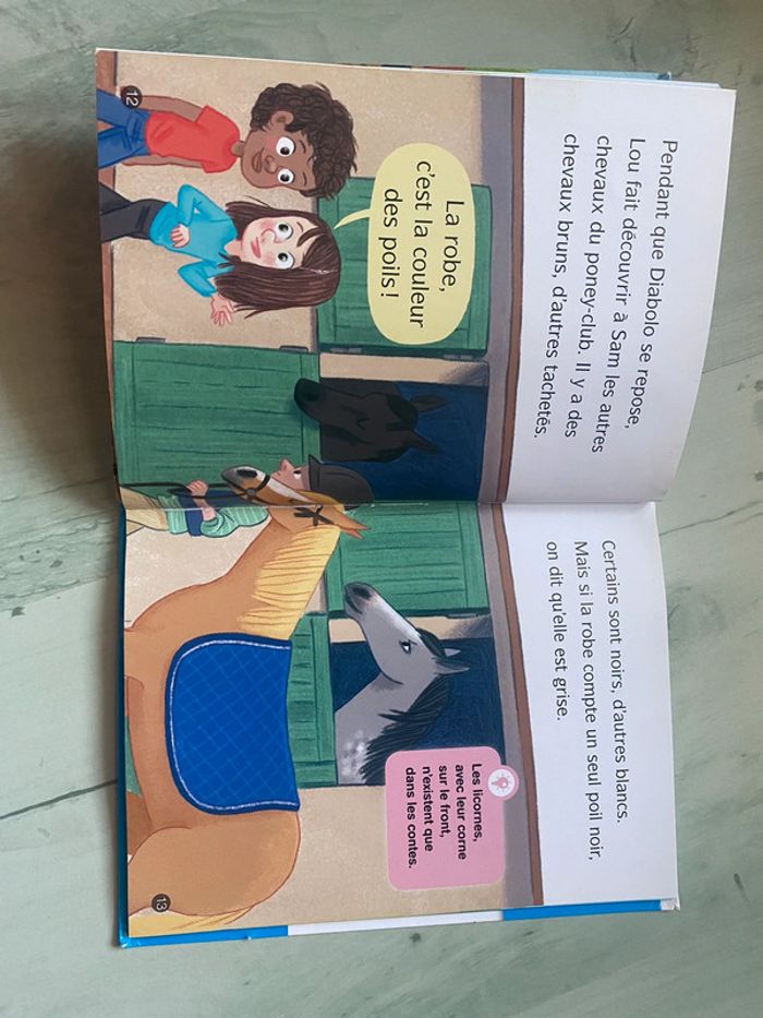 Livre « les docs de lou » - photo numéro 2