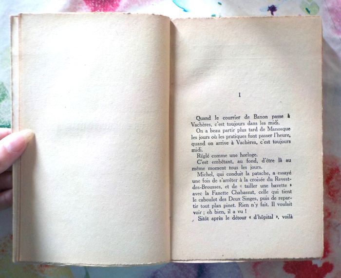 REGAIN de Jean GIONO Ed. Grasset 1941 - photo numéro 8