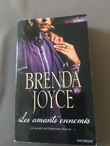 Livre Les amants ennemis
