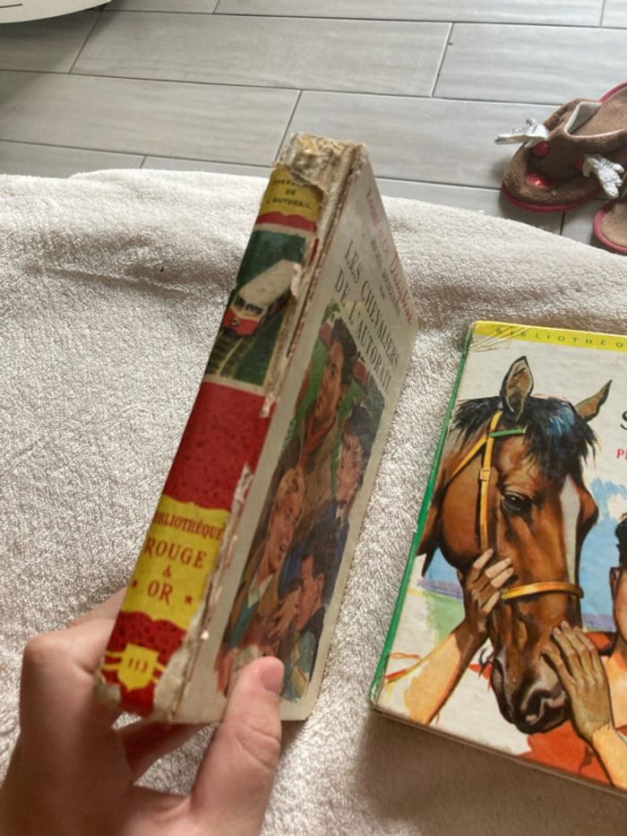 Lot 2 livres - photo numéro 3