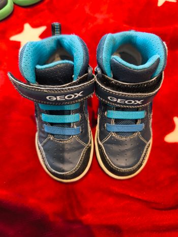 Chaussure Geox 