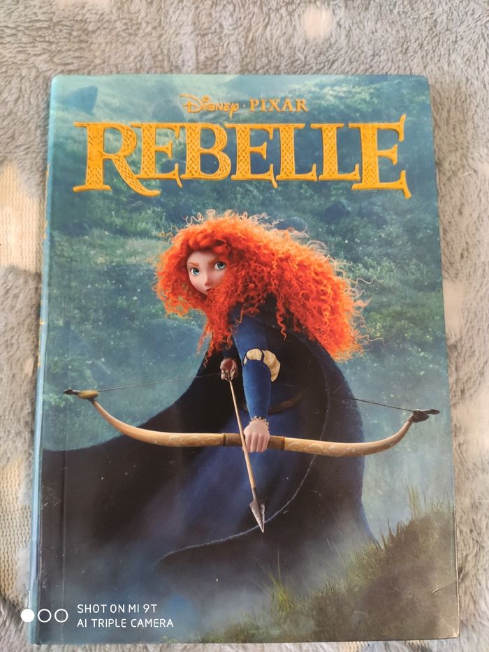 Livre de poche Disney : Rebelle