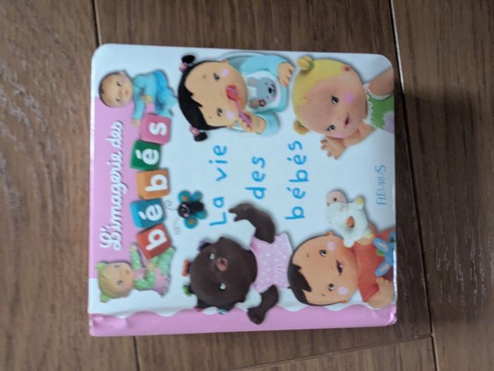 Lot de 2 Fleurus - photo numéro 3