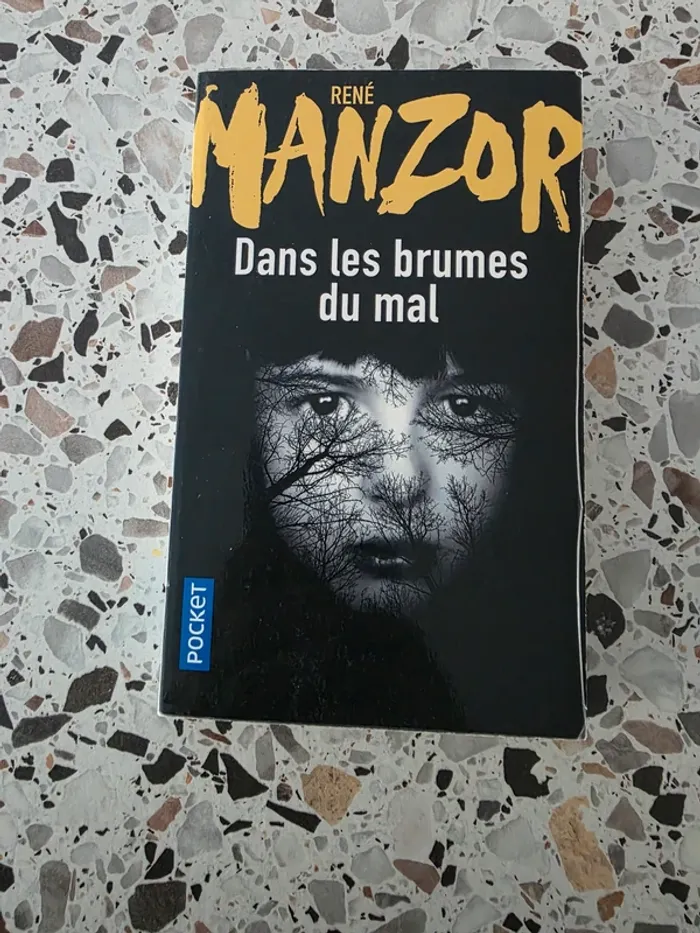 Dans les brumes du mal