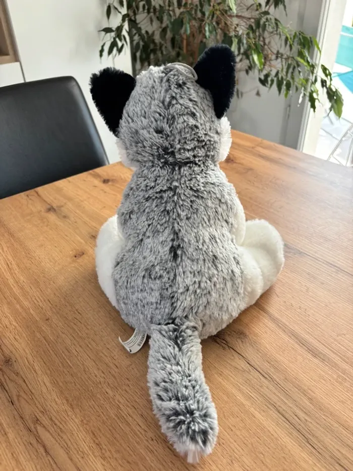 Peluche husky - photo numéro 2