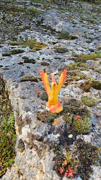 Super figurine Pokemon Nintendo finger puppet Sulfura