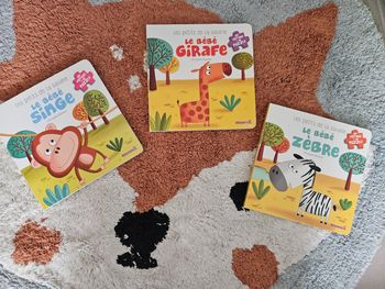 Lot de 3 livres puzzle- Hemma