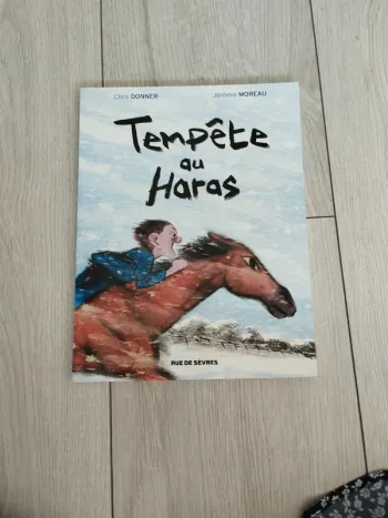 BD Tempête au Haras