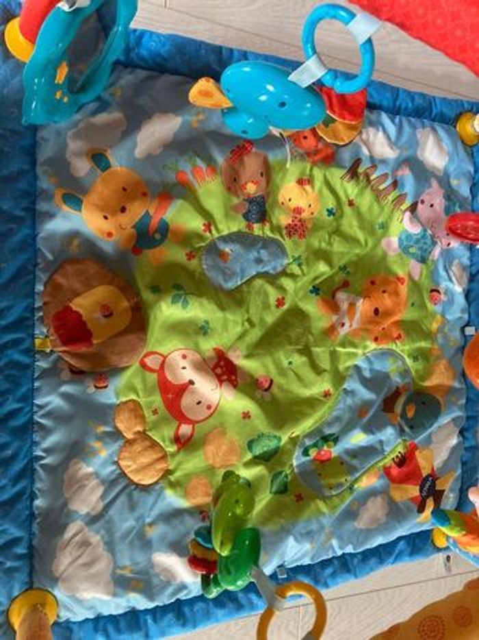 Tapis d’éveil vetch - photo numéro 2