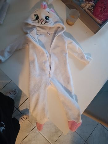 Combi marie les aristochat