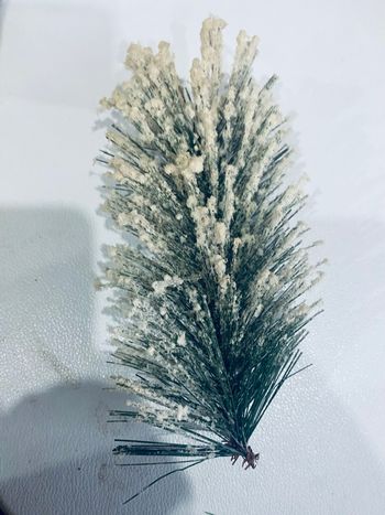 Lot branches de sapin floconneux