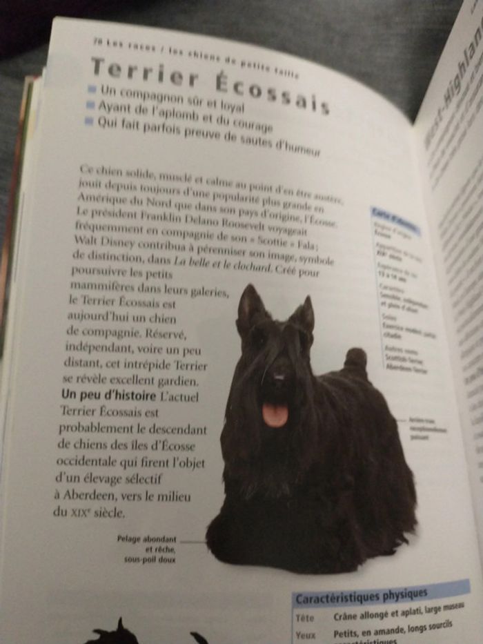 Le guide de référence du chien par docteur Bruce folge - photo numéro 8
