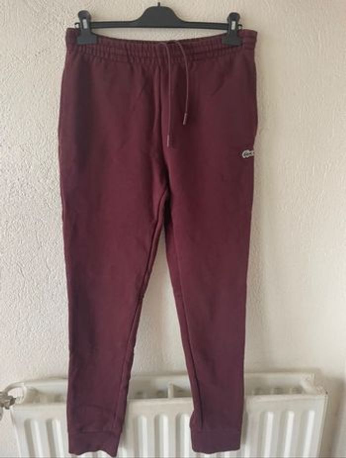 Pantalon jogging slim fit lacoste - taille M - photo numéro 4