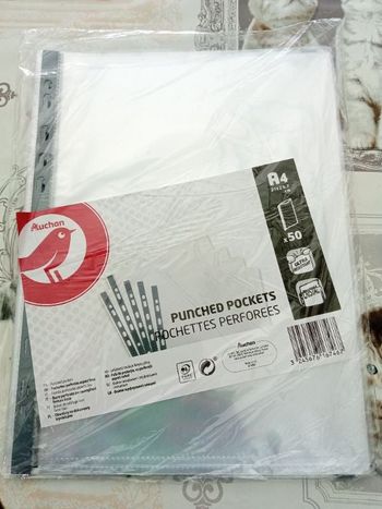Lot de 50 feuilles perforées A4