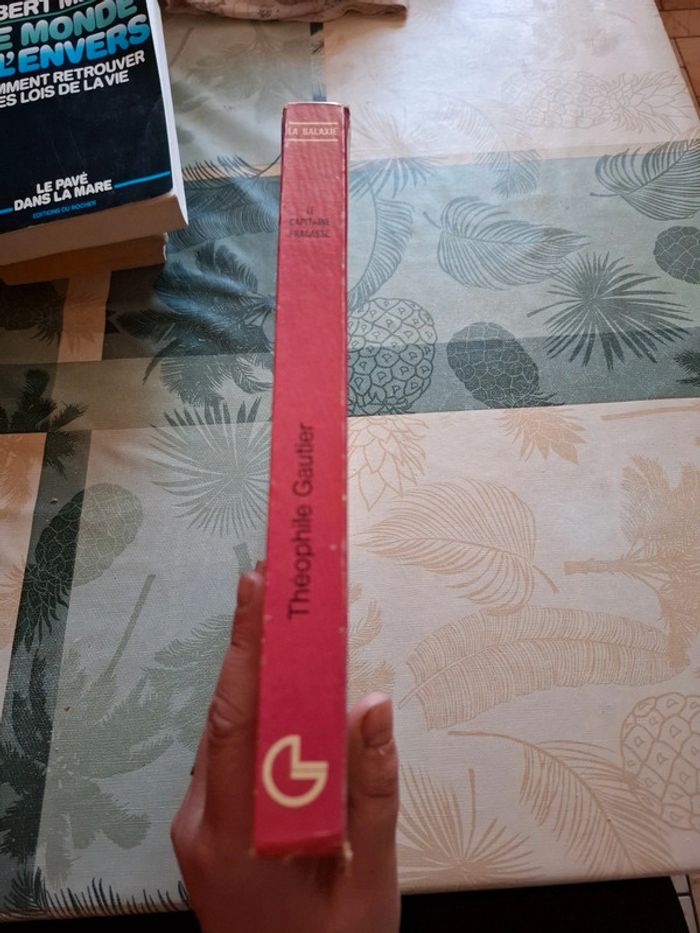 La capitaine fracasse - photo numéro 3