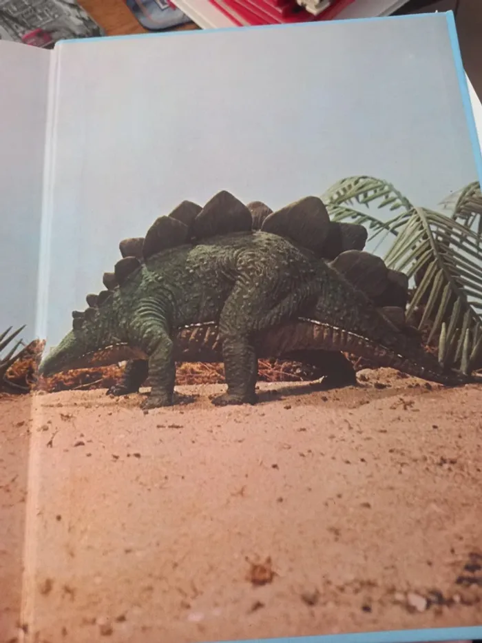 Les animaux préhistoriques 🦕 - photo numéro 4