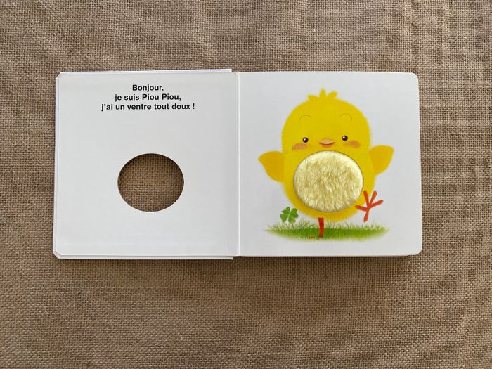 Livre Piou Piou Qui es-tu ? Bayard Jeunesse - photo numéro 2