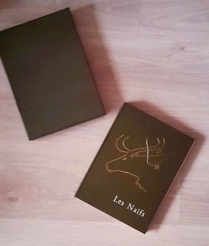 Les Naifs - Raymond Nacenta - photo numéro 6