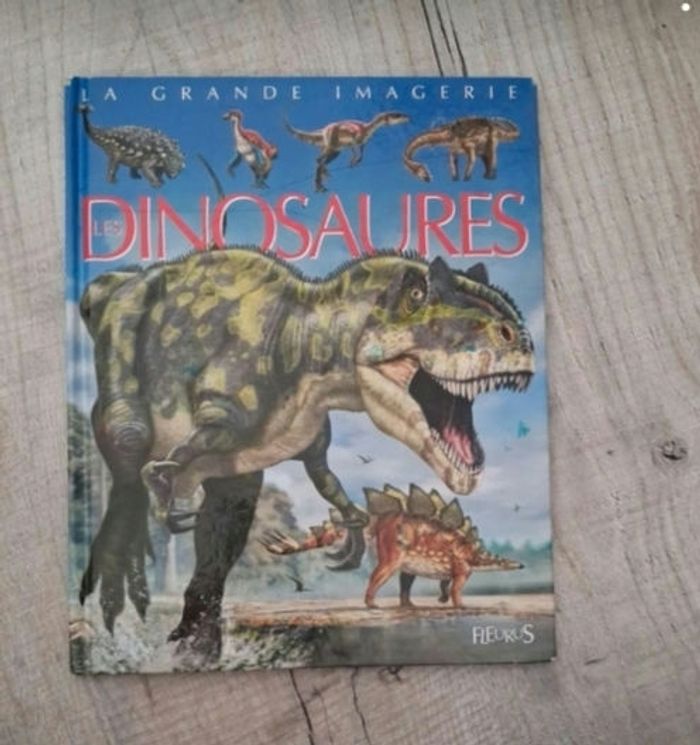 4 grande imagerie - photo numéro 3