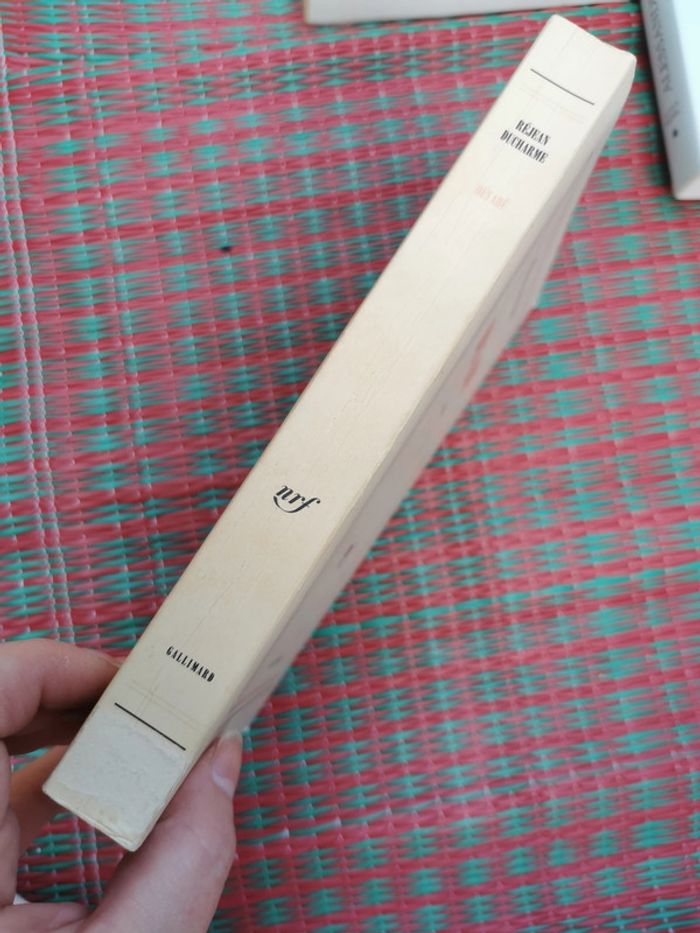 Dévadé, roman de Réjean Ducharme - photo numéro 5