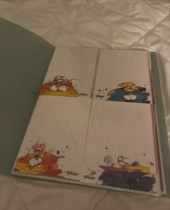 Porte-vue 100 feuilles Diddl 🐭💚