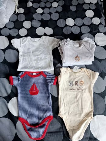 Lot bodies manches courtes