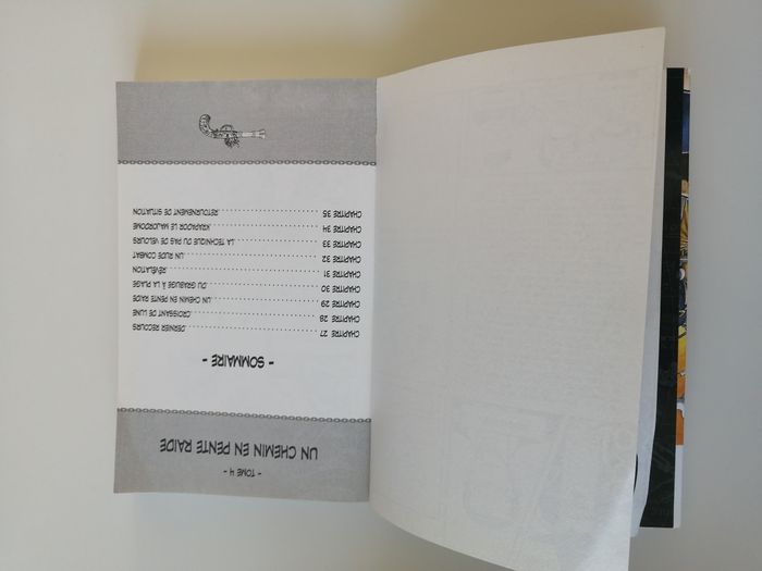 one piece - livre manga - photo numéro 5