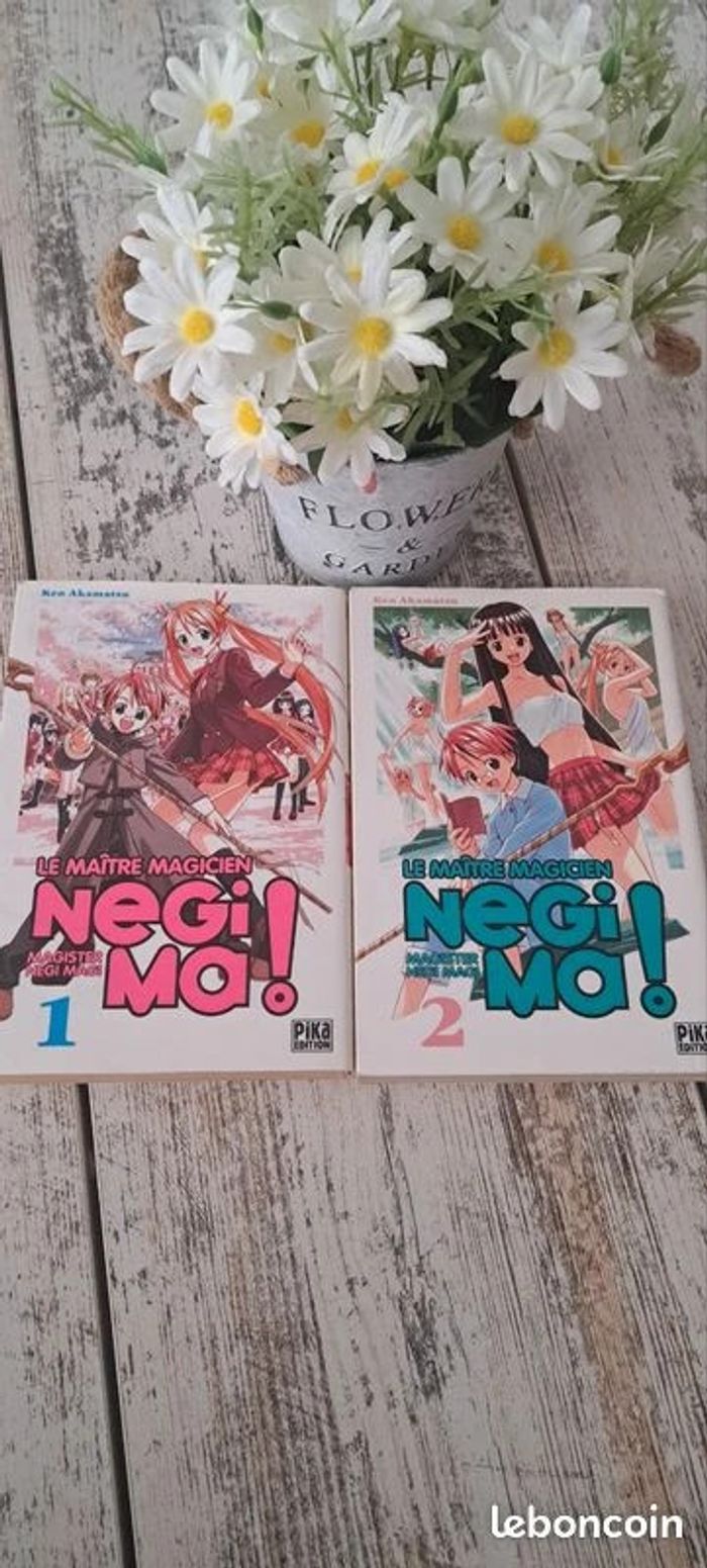 Negima ! le maître magicien tome 1 et 2