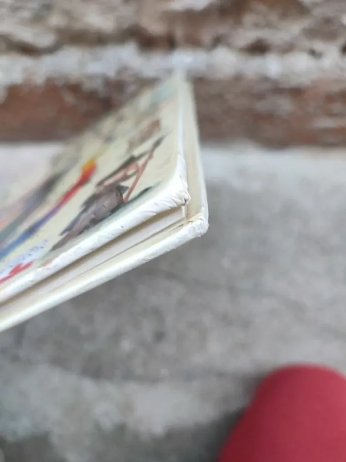 Livre le déguisement de kitou scrogneugneu - photo numéro 7