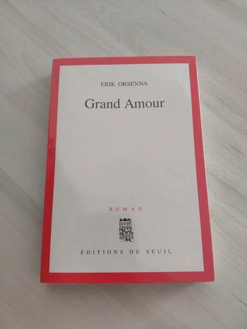 Livre grand format Grand amour Orsenna