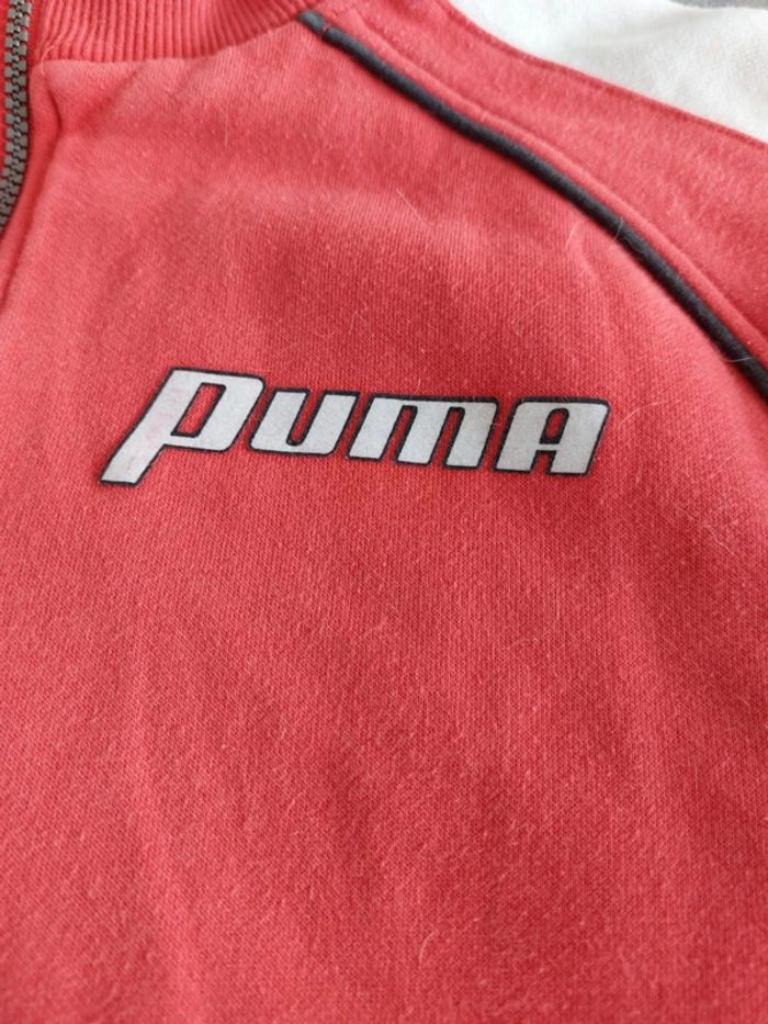 Sweat Puma Vintage - photo numéro 4