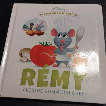 Livre enfant Disney mes premières histoires Rémy ratatouille
