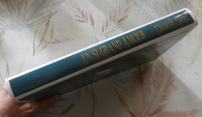 Un si grand amour de Danielle Steel - photo numéro 3