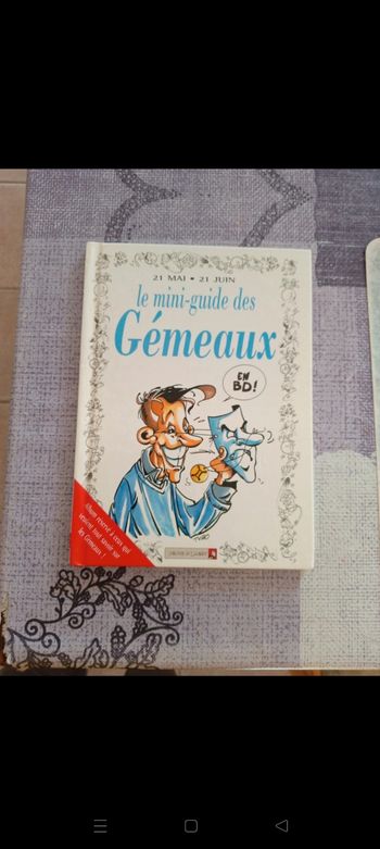 Le mini guide des Gémeaux