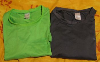 lot 2 tee shirt gris et vert