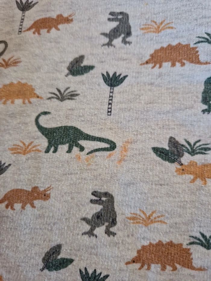 Sweat dinosaure tape à l'oeil - photo numéro 4