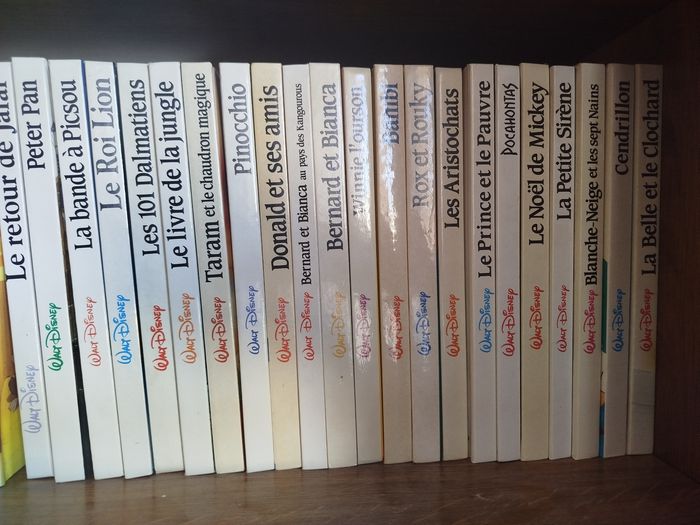 livres Walt Disney - photo numéro 2
