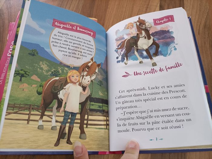 Lot 4 livres spirit tome 1,2,3,5 - photo numéro 10