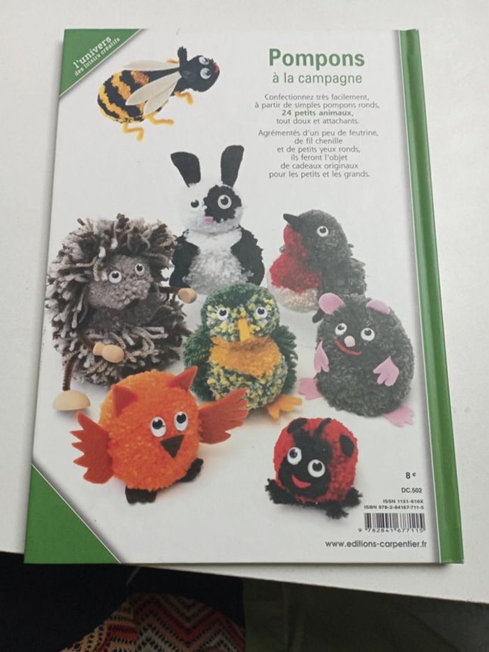 Livre pompons - photo numéro 2